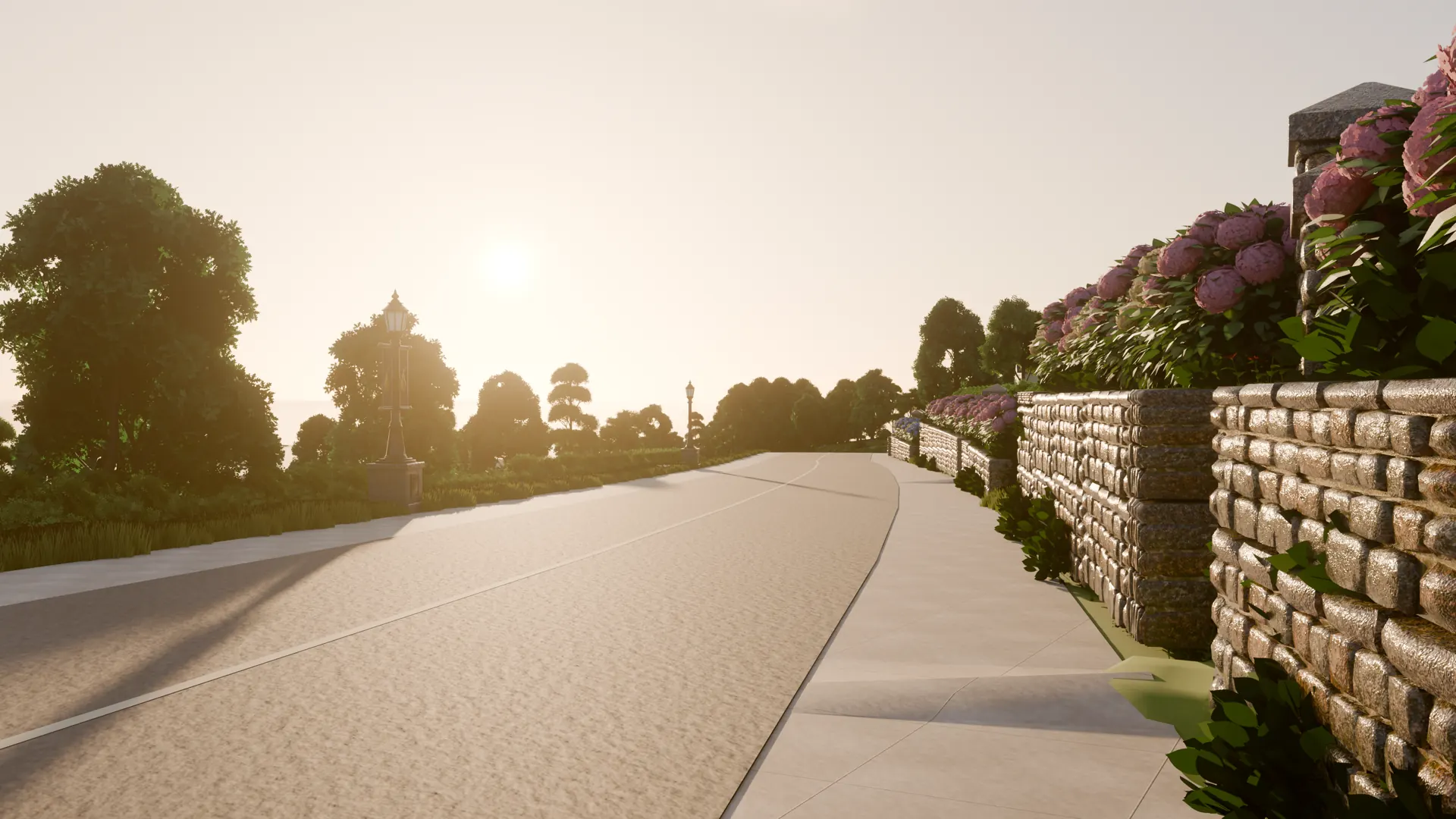 Linden Crescent at golden hour, looking into the low sun: the road curves past street lamps and a stone wall topped with pink hydrangeas.